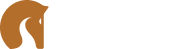 Transylvania Horse Trails